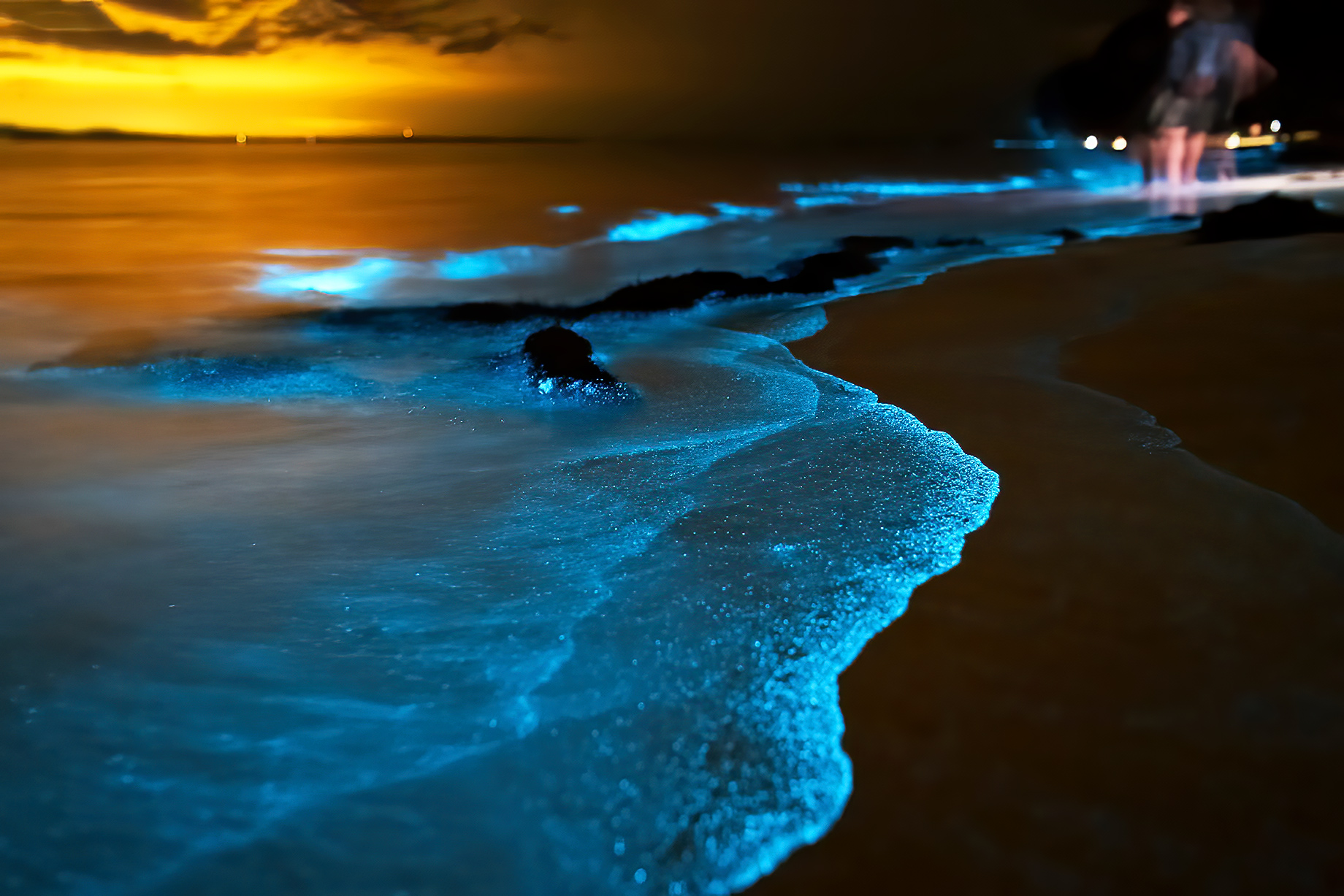 Bioluminescent Shoreline In Jervis Bay, Australia