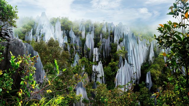Pinnacles In Mulu National Park In Malaysia