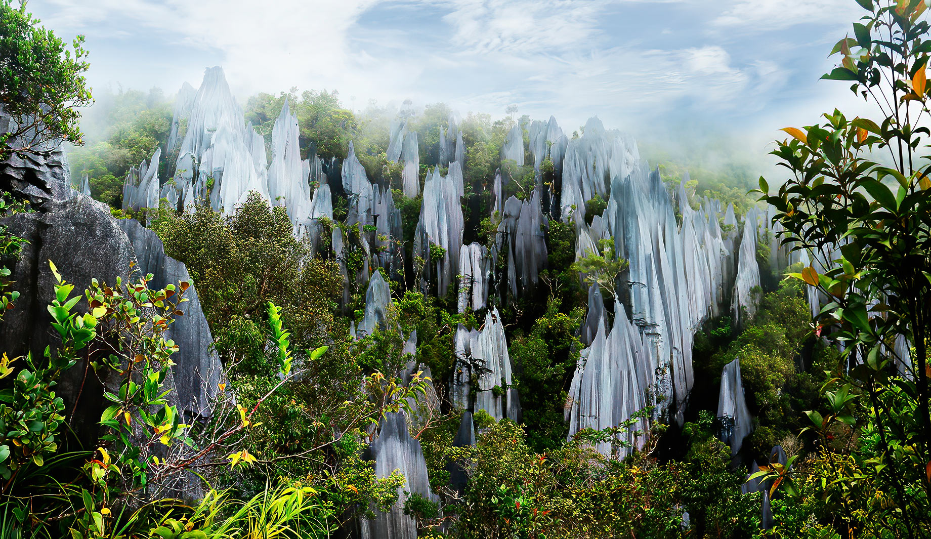 Pinnacles In Mulu National Park In Malaysia