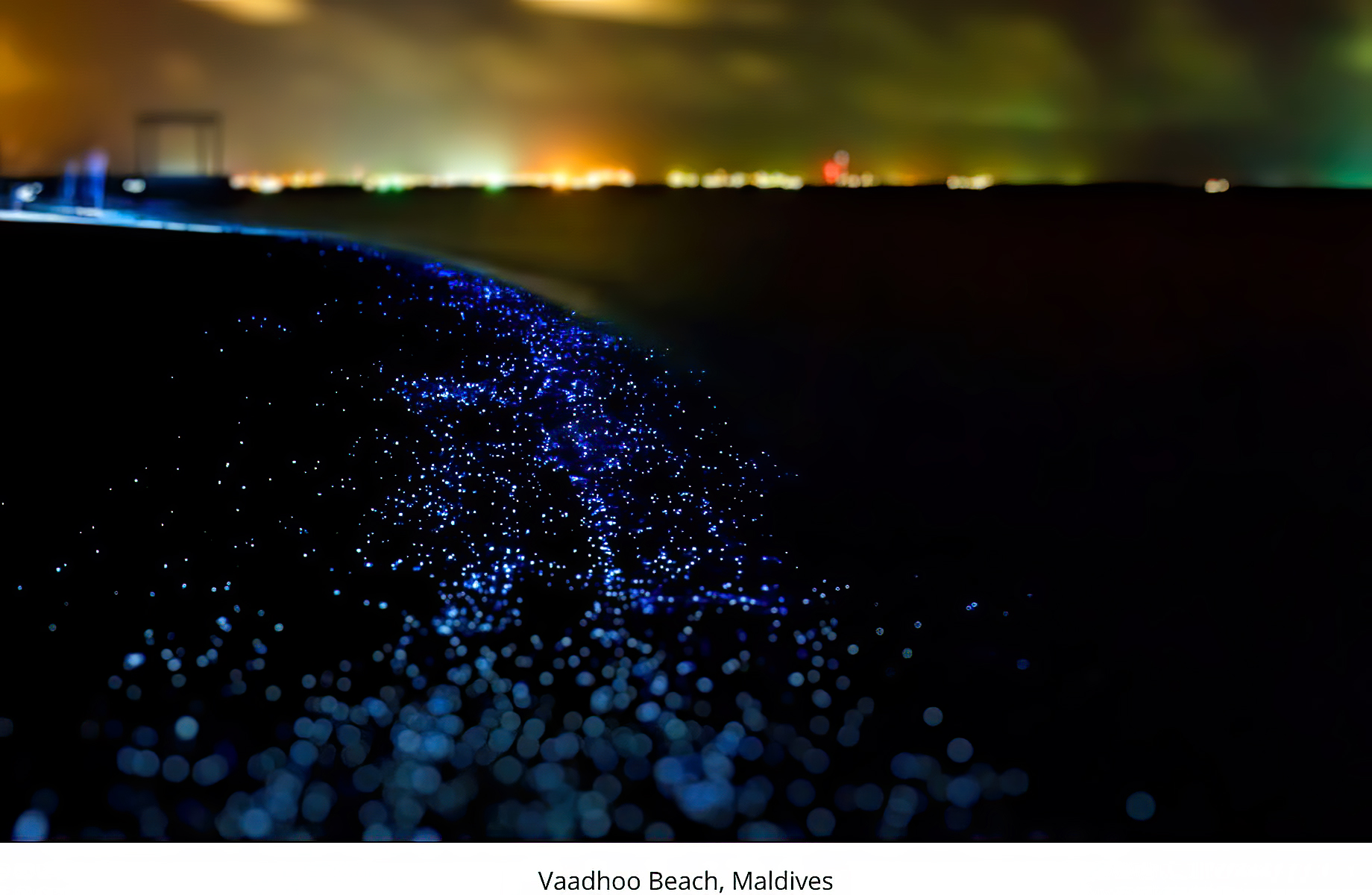 Vaadhoo Island, Maldives Bioluminescent Shoreline