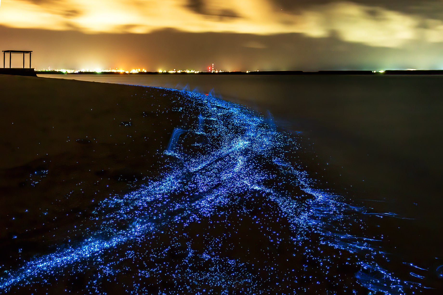 Vaadhoo Island Maldives Bioluminescent Beach