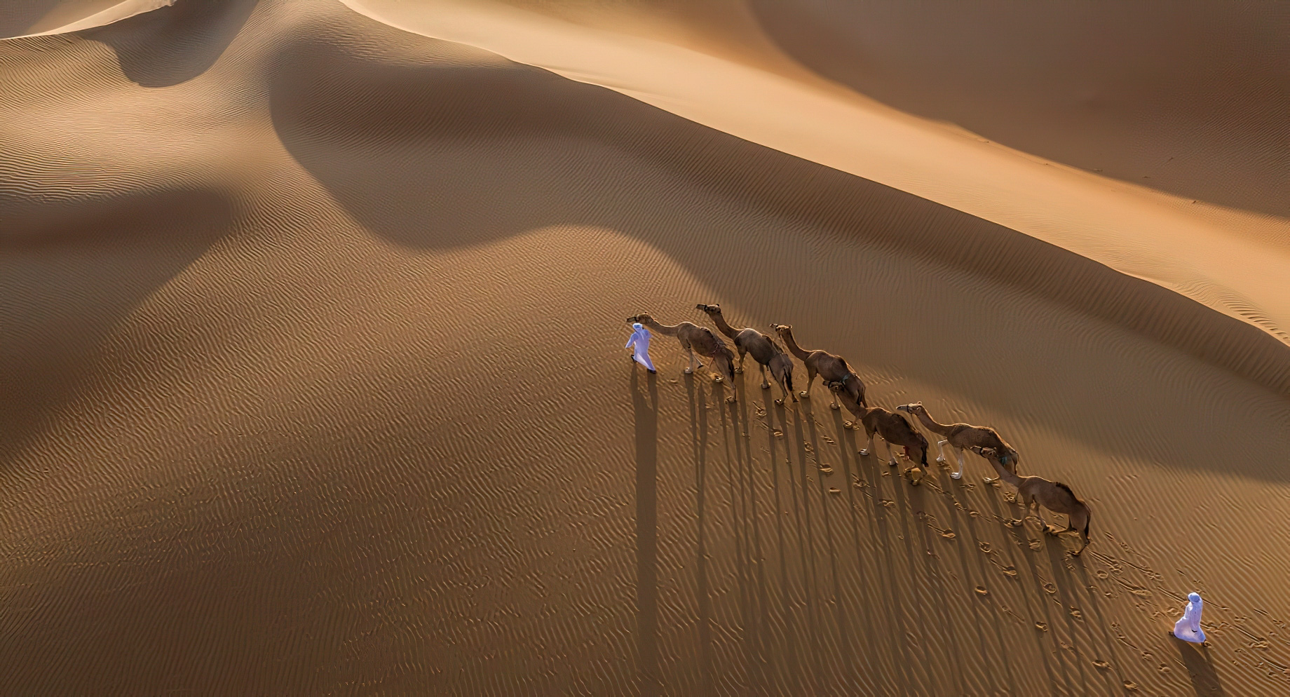 Qasr Al Sarab Desert Resort by Anantara – Abu Dhabi – United Arab Emirates – Camel Riding Aerial View