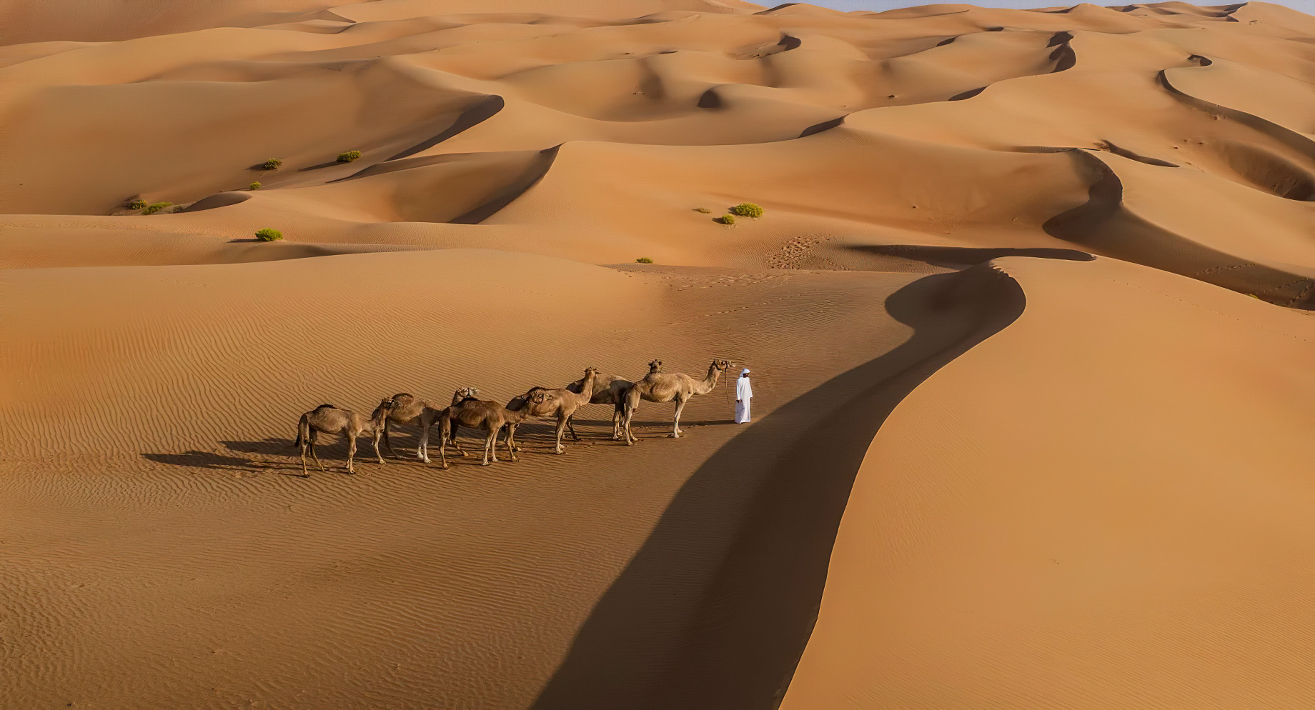 Qasr Al Sarab Desert Resort by Anantara – Abu Dhabi – United Arab Emirates – Camel Riding