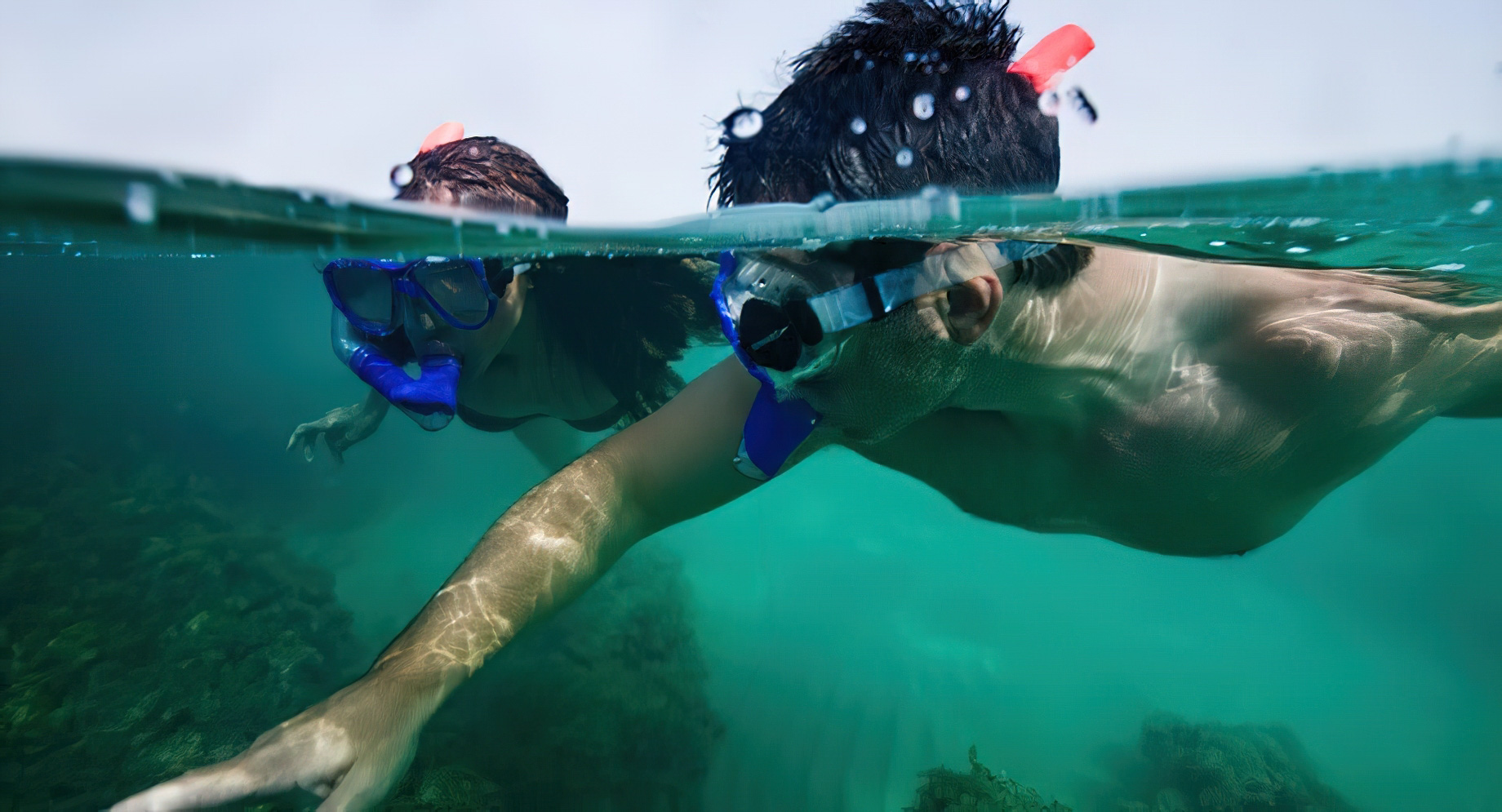 Desert Islands Resort & Spa by Anantara - Abu Dhabi - United Arab Emirates - Snorkelling