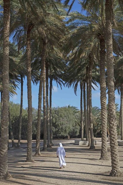 Desert Islands Resort & Spa by Anantara - Abu Dhabi - United Arab Emirates - Exterior Path
