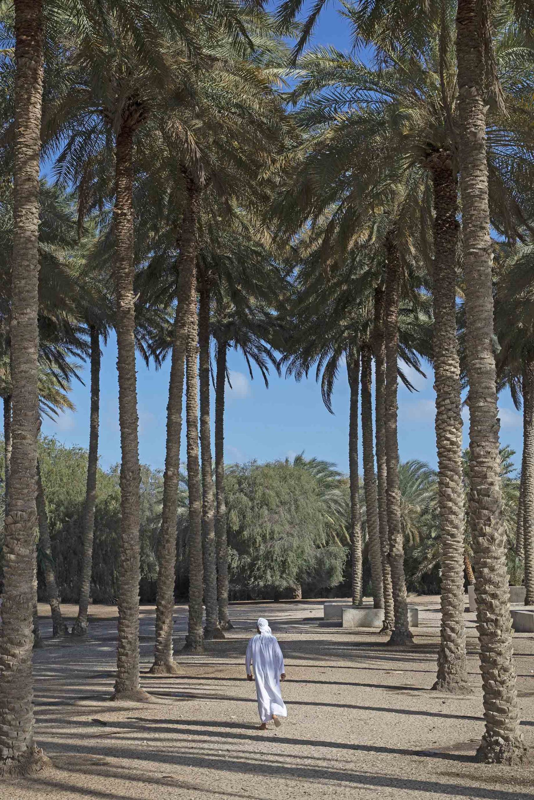 Desert Islands Resort & Spa by Anantara – Abu Dhabi – United Arab Emirates – Exterior Path