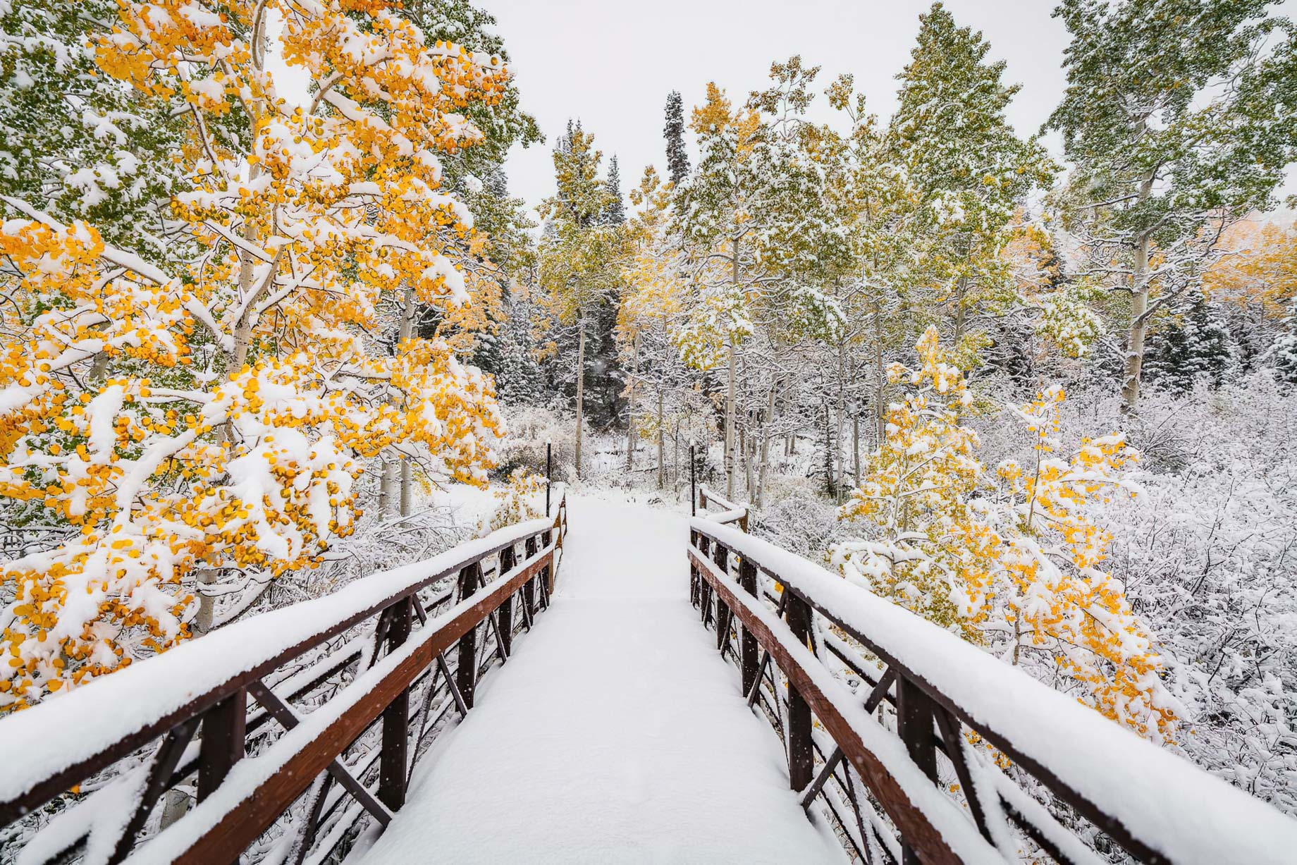 Viceroy Snowmass Luxury Resort – Aspen Snowmass Village, CO, USA – Trail Winter View