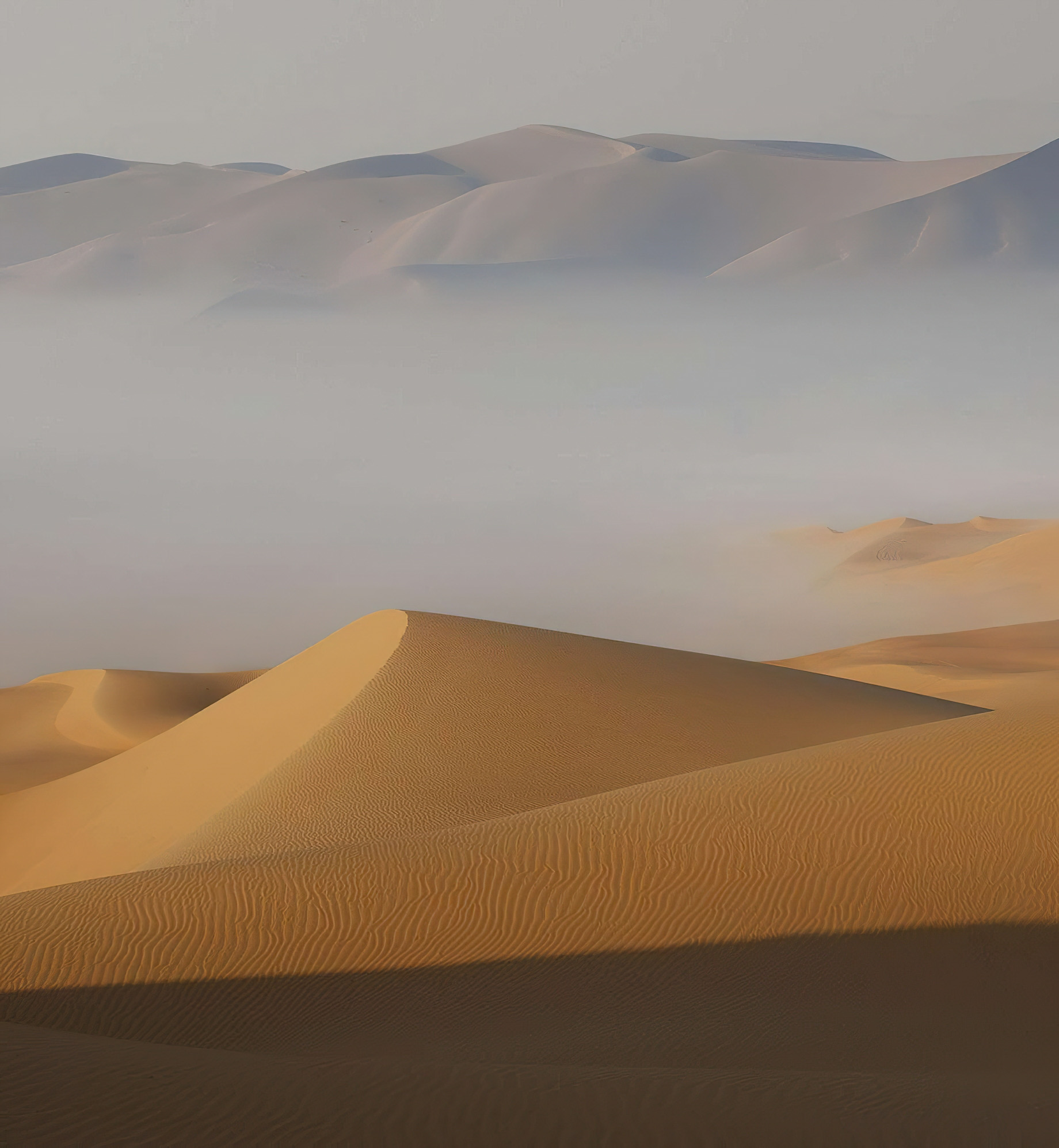 Qasr Al Sarab Desert Resort by Anantara - Abu Dhabi - United Arab Emirates - Desert