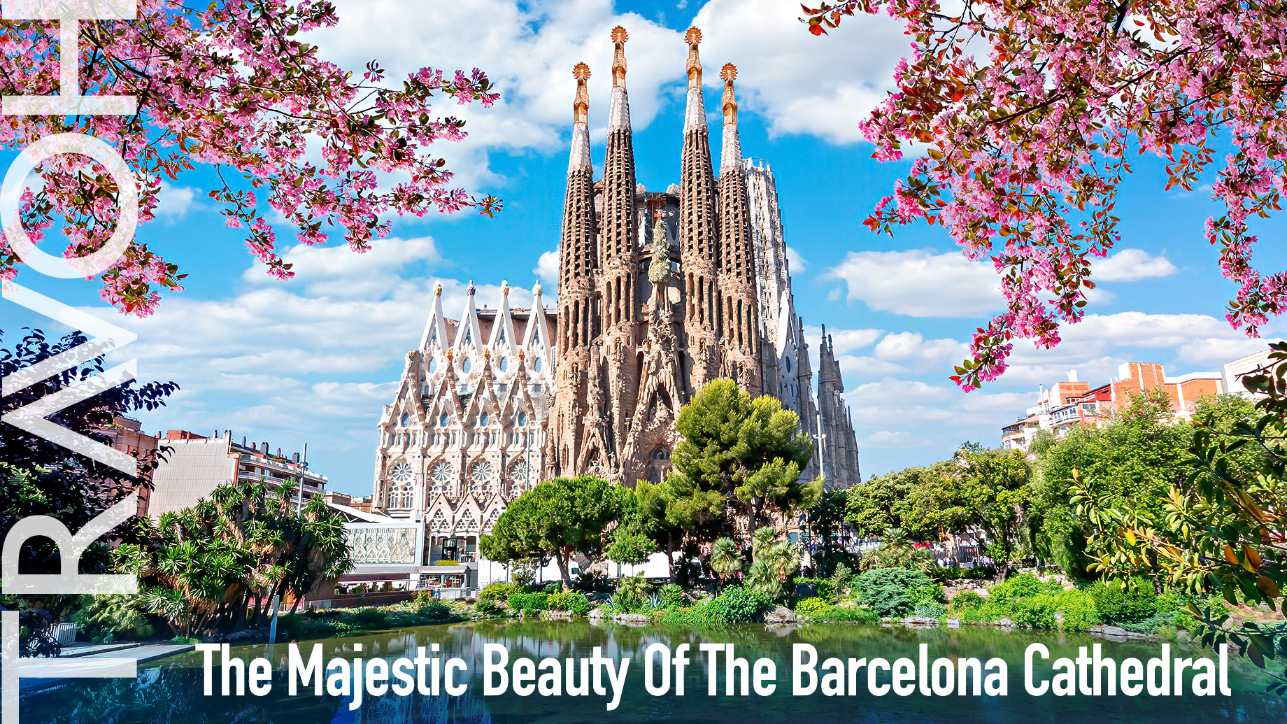 The Majestic Beauty Of The Barcelona Cathedral