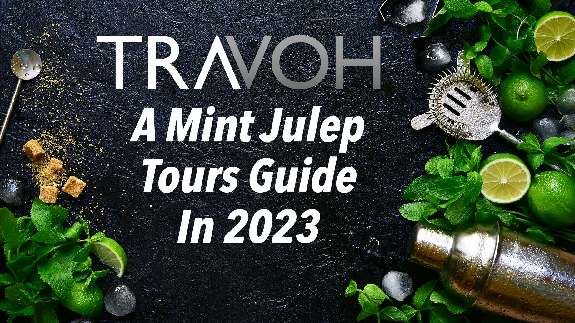 A Mint Julep Tours Guide In 2023