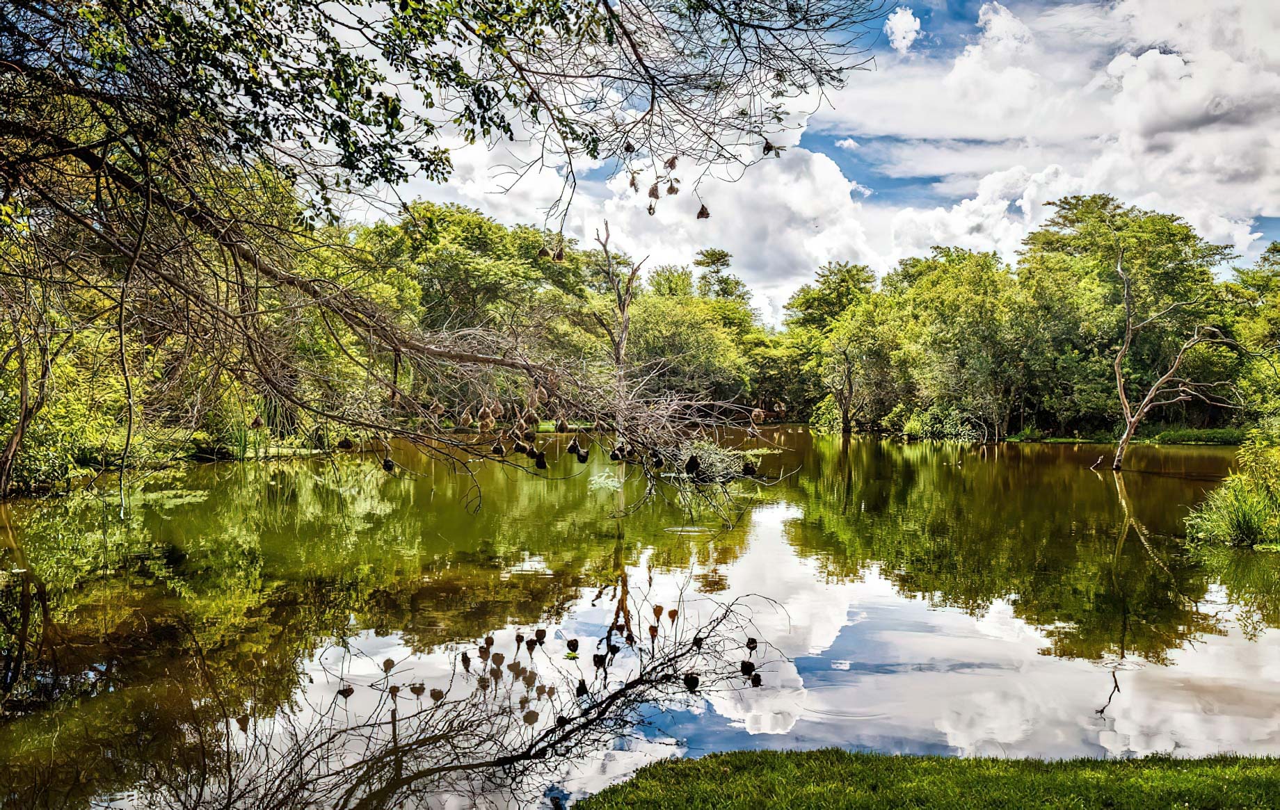 Avani Victoria Falls Resort – Livingstone, Zambia – Resort Pond