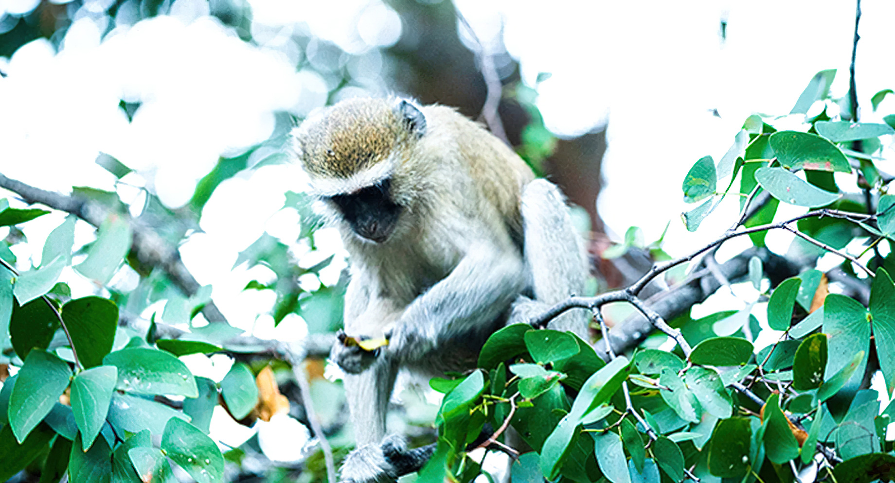 Royal Livingstone Victoria Falls Hotel by Anantara – Zambia – Victoria Falls Leisure Walk