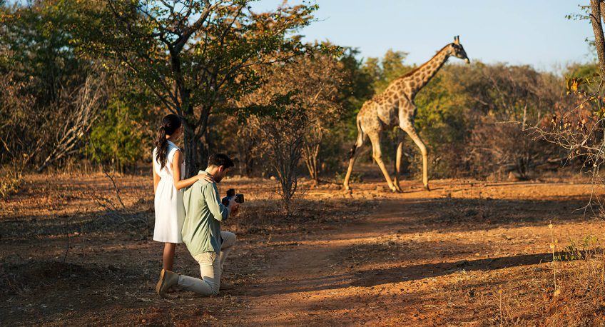 Royal Livingstone Victoria Falls Hotel by Anantara - Zambia - Giraffe