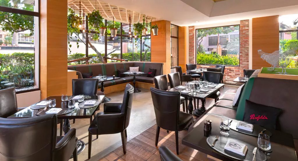 Anantara The Palm Dubai Resort - Dubai, UAE - Bushman’s Restaurant & Bar