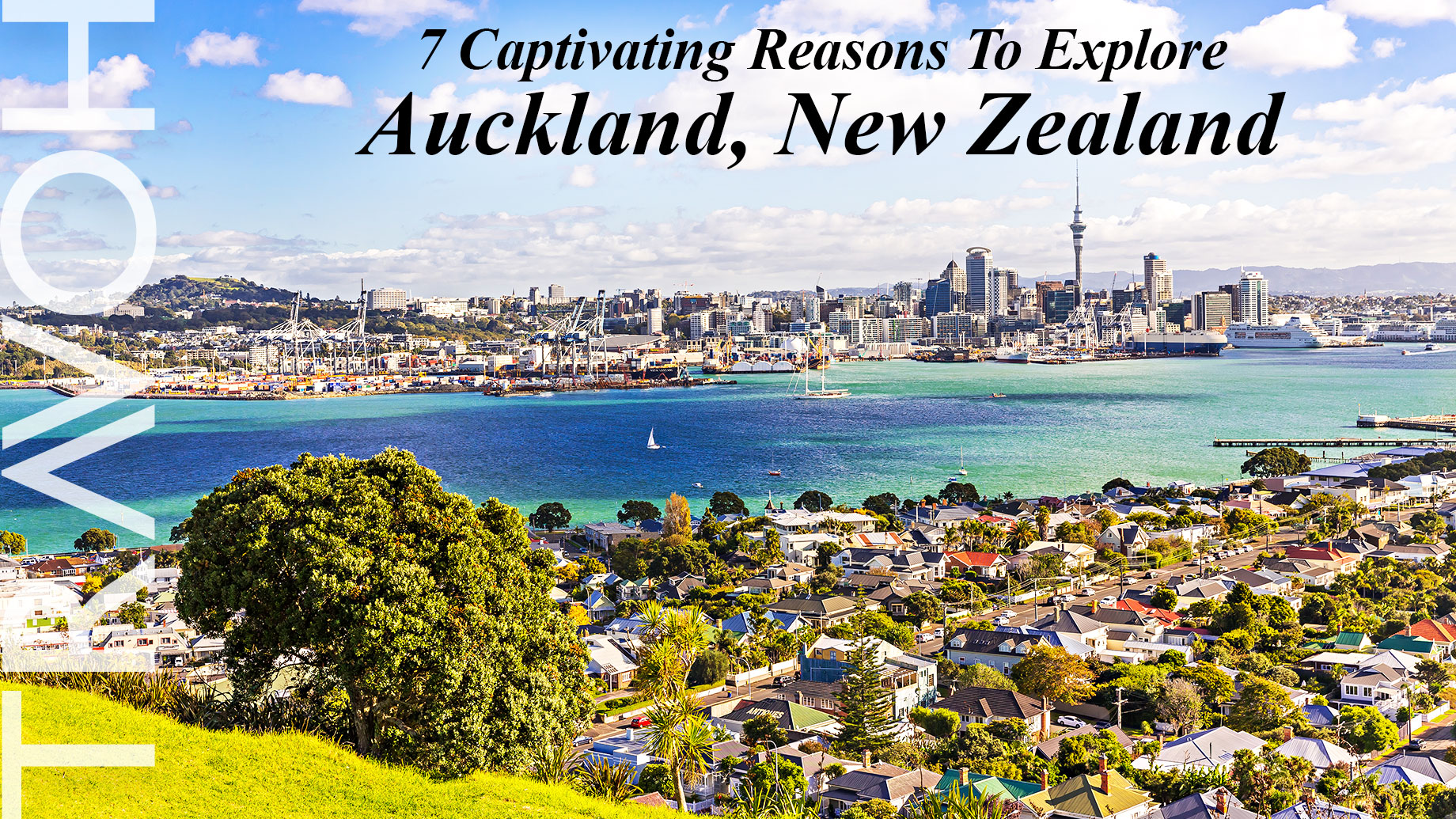7 Captivating Reasons To Explore Auckland, New Zealand