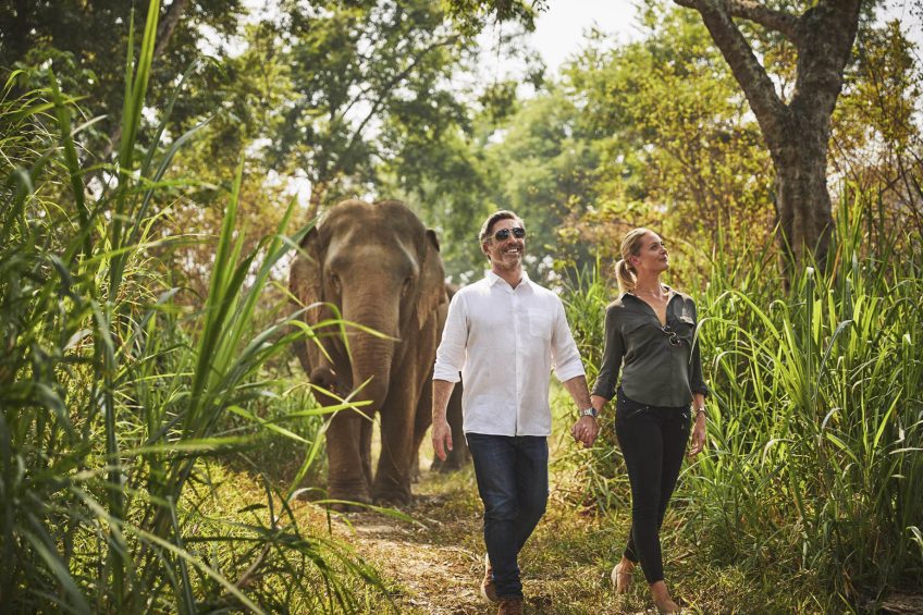 Anantara Golden Triangle Elephant Camp & Resort - Chiang Rai, Thailand - Elephant Walk