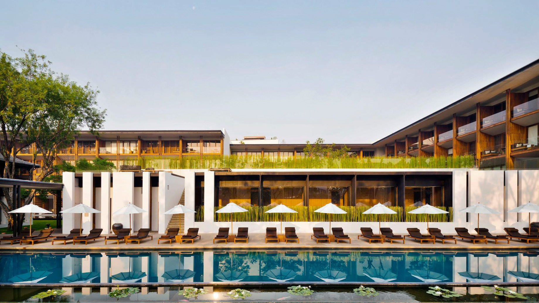 Anantara Chiang Mai Resort - Thailand - Pool View