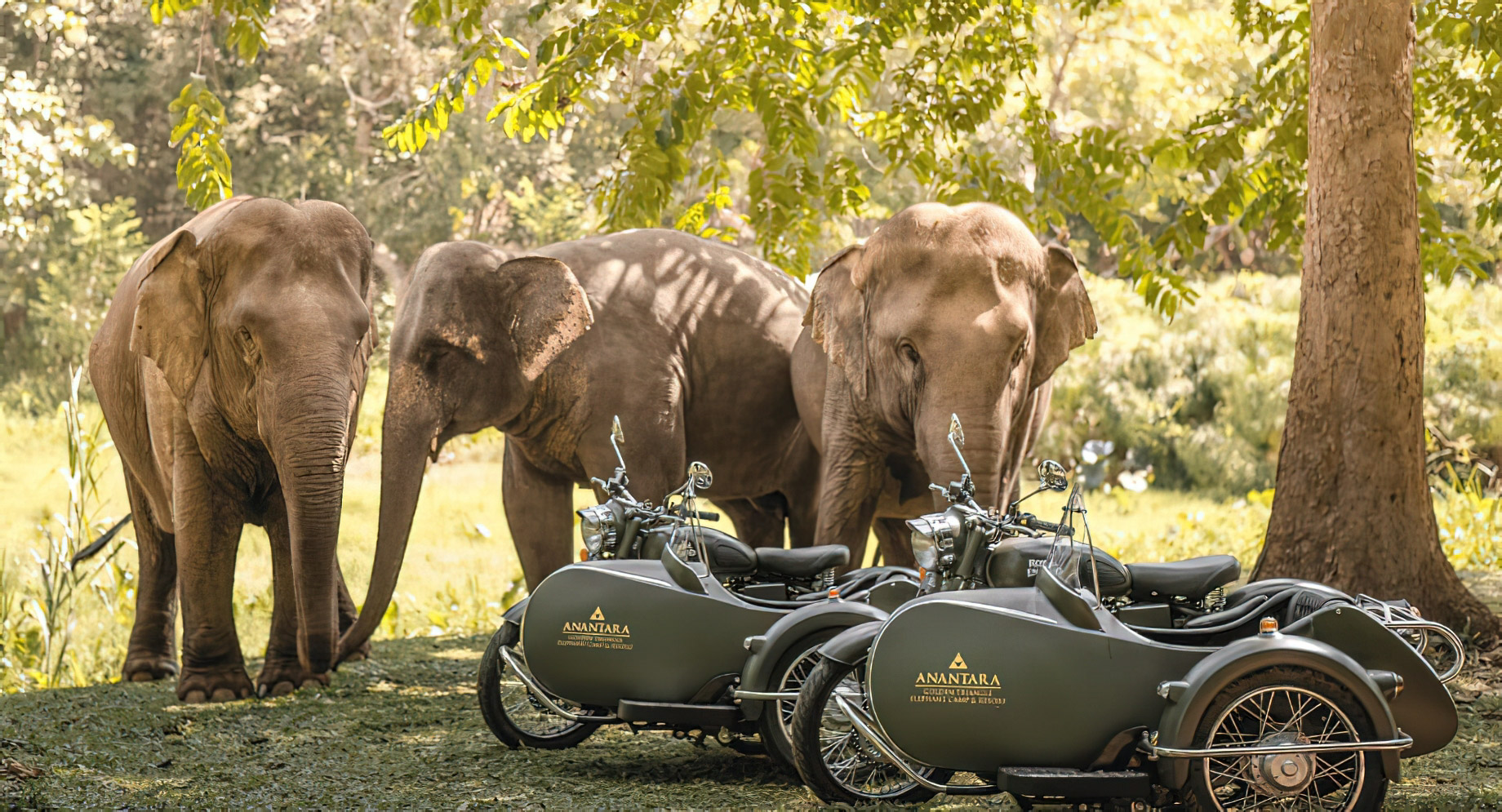Anantara Golden Triangle Elephant Camp & Resort – Chiang Rai, Thailand – Sidecars