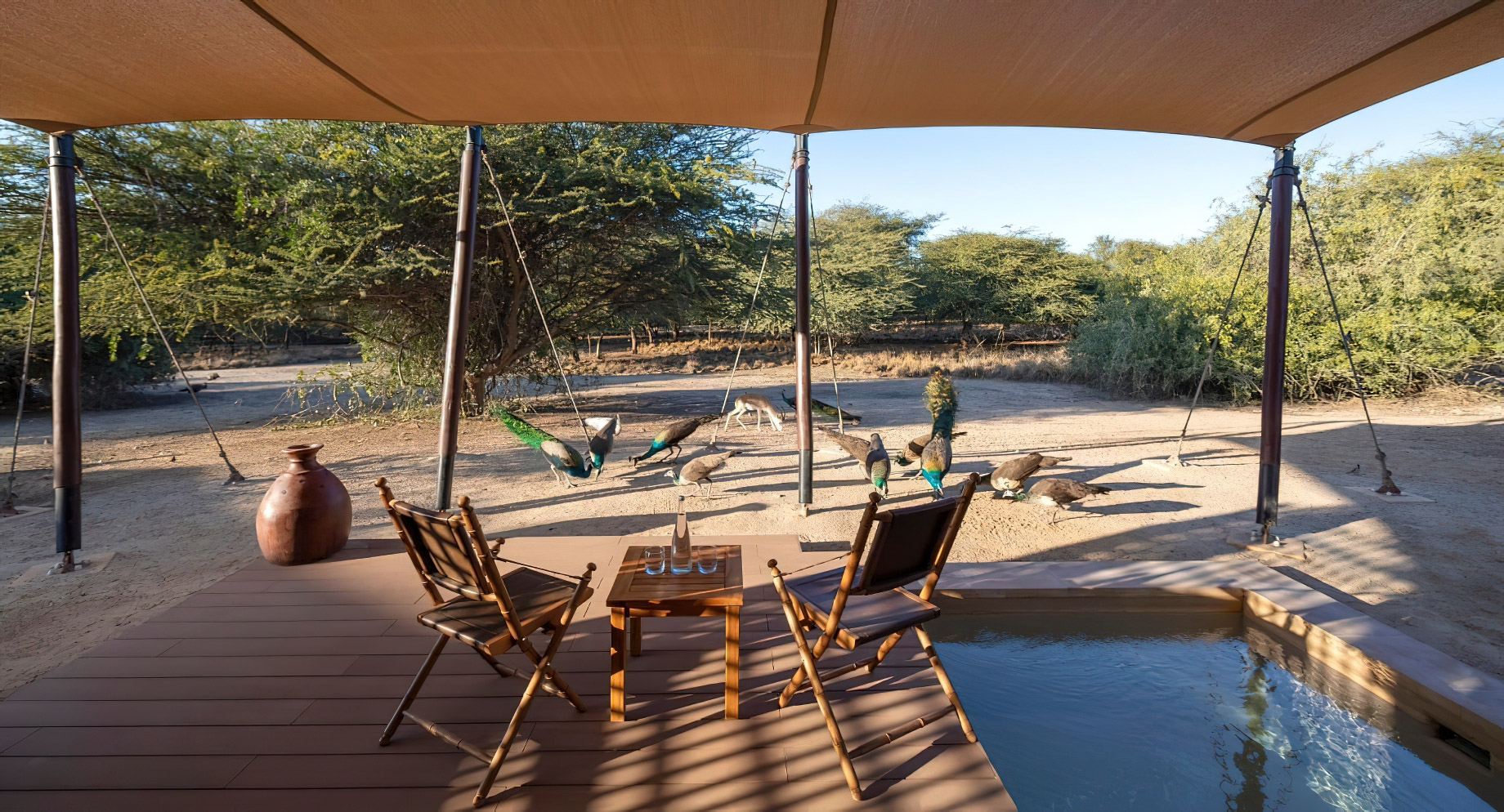 Anantara Sir Bani Yas Island Al Sahel Villa Resort - Abu Dhabi, UAE - One Bedroom Pool Villa