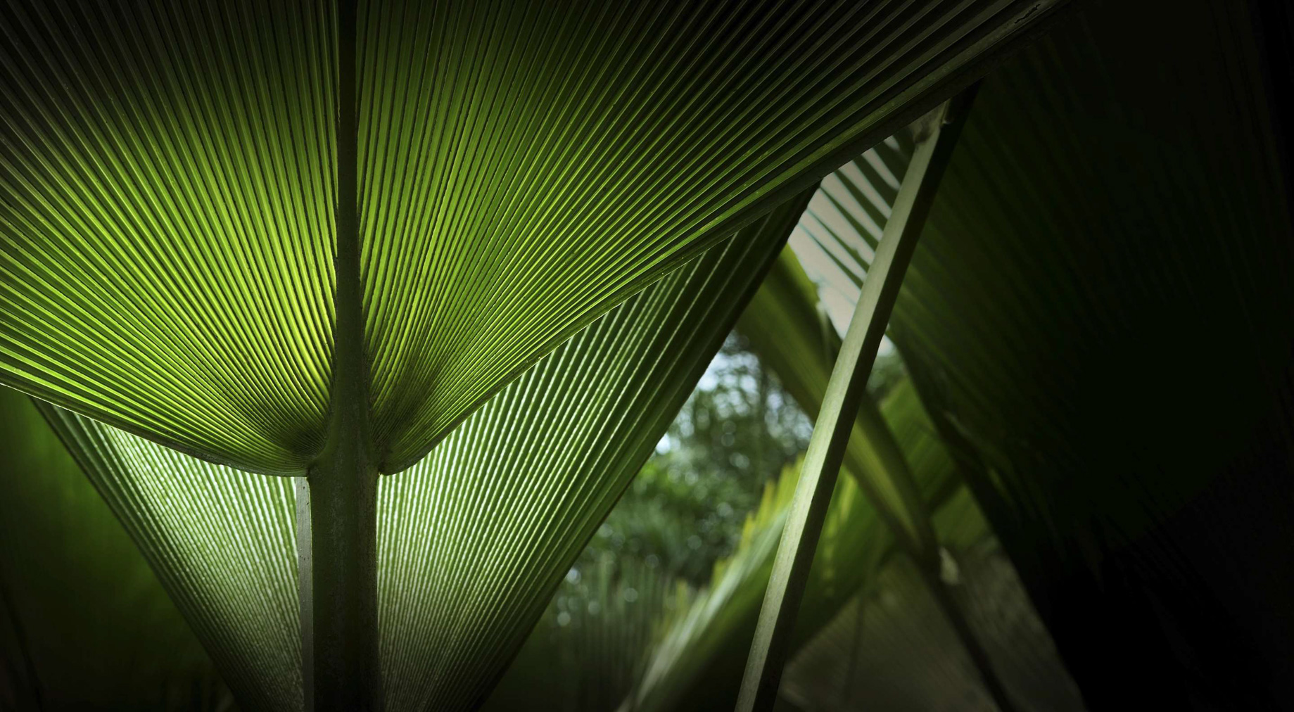 Anantara Mai Khao Phuket Villas Resort – Thailand – Lagoon