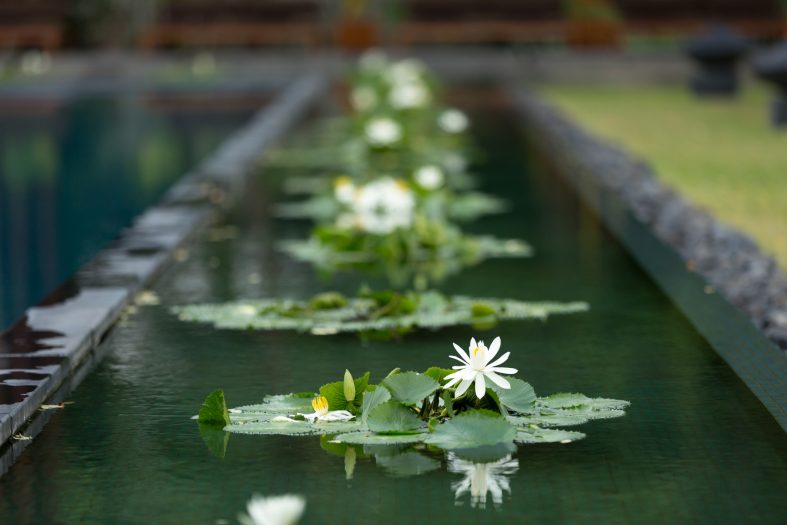 Anantara Chiang Mai Resort - Thailand - Exterior View Lotus