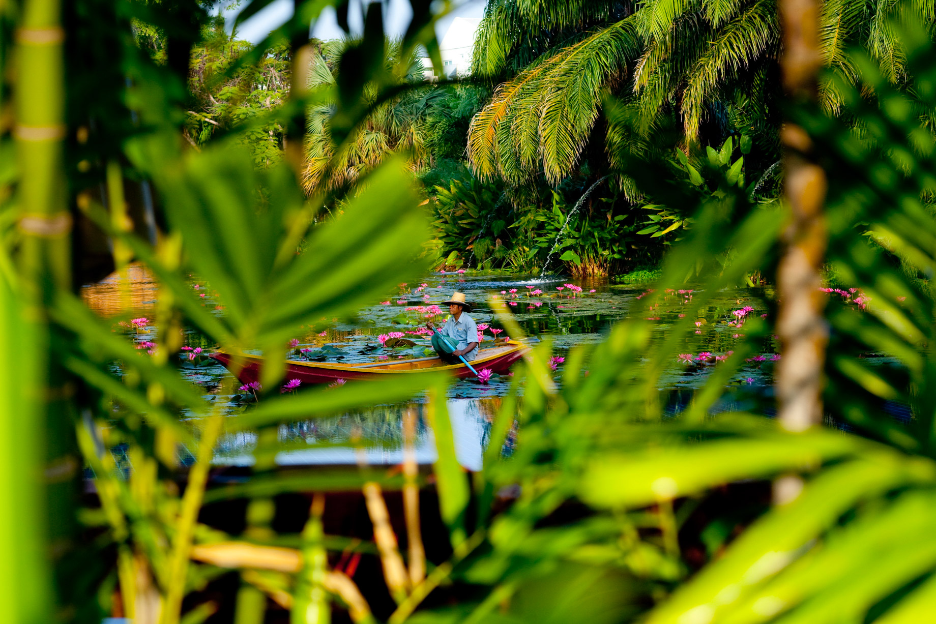Anantara Hua Hin Resort - Prachuap Khiri Khan, Thailand - Lagoon