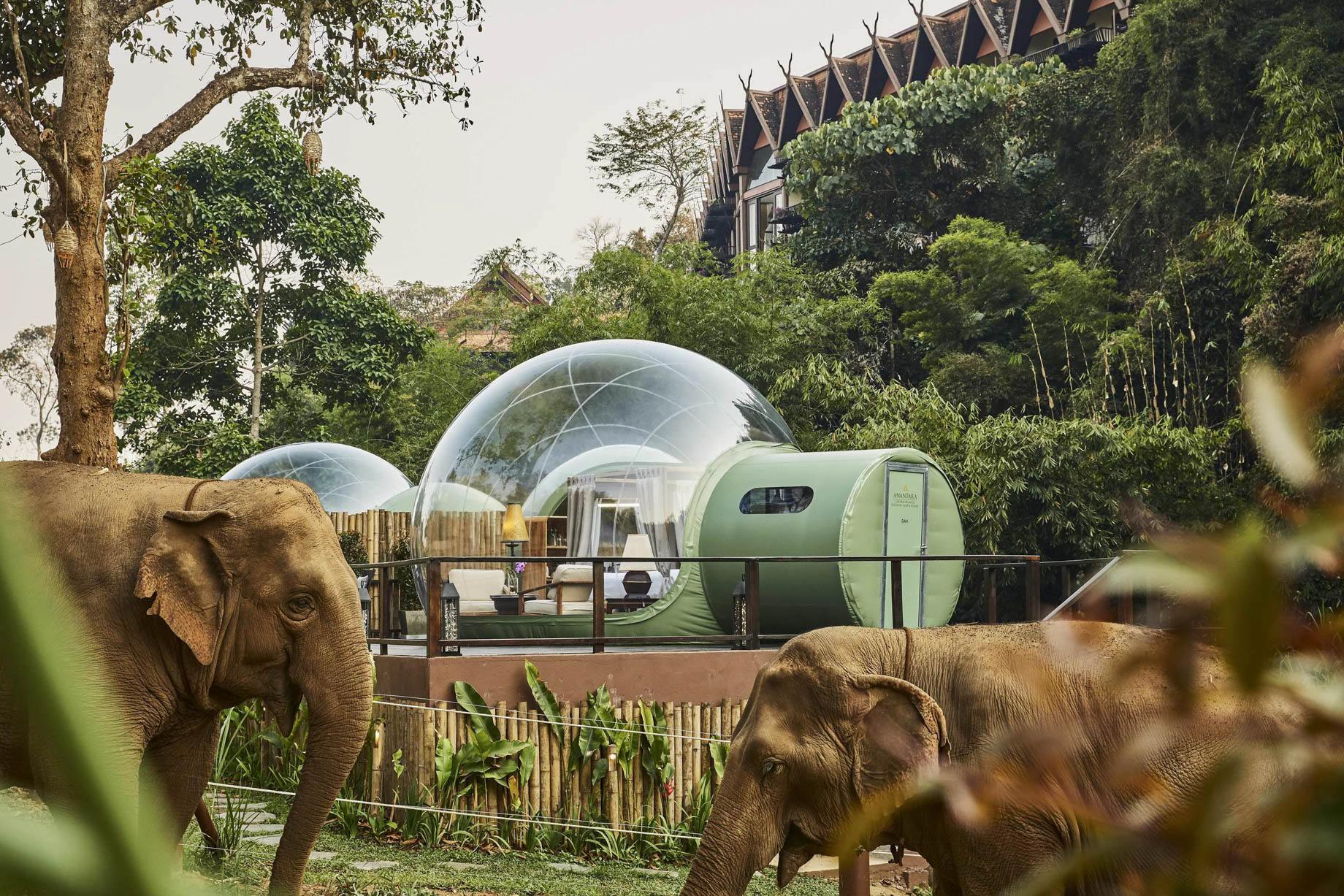 Anantara Golden Triangle Elephant Camp & Resort - Chiang Rai, Thailand - Jungle Bubble