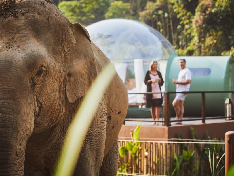 Anantara Golden Triangle Elephant Camp & Resort - Chiang Rai, Thailand - Jungle Bubble
