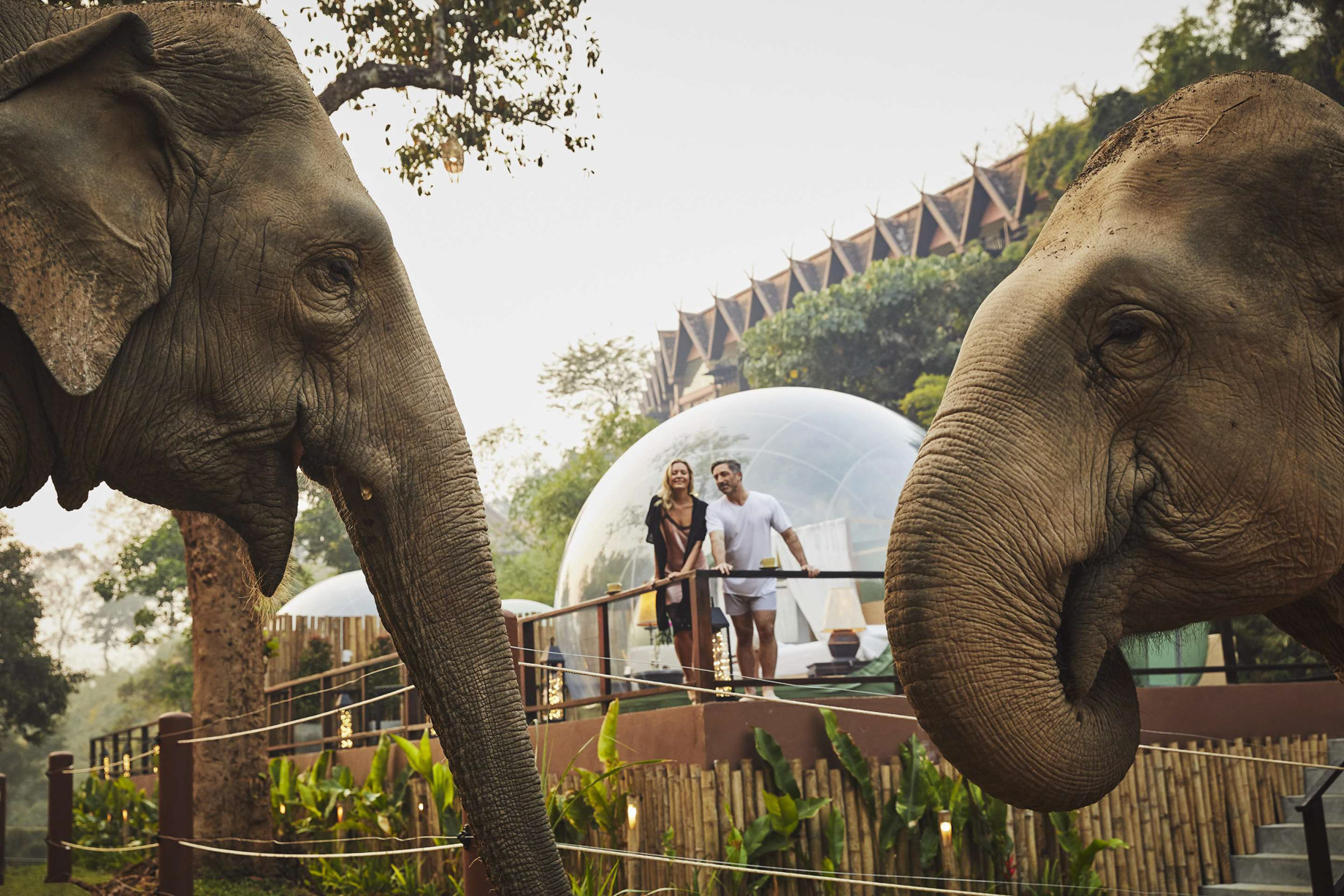 Anantara Golden Triangle Elephant Camp & Resort – Chiang Rai, Thailand – Jungle Bubble