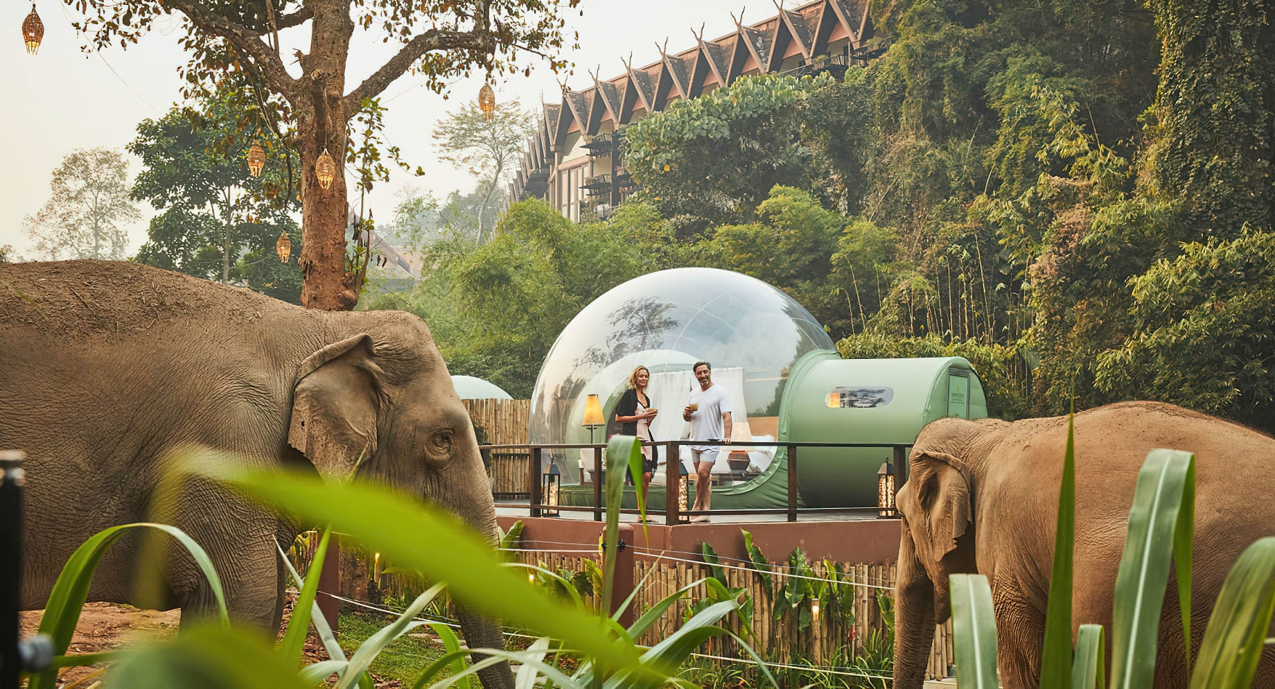 Anantara Golden Triangle Elephant Camp & Resort - Chiang Rai, Thailand - Jungle Bubble
