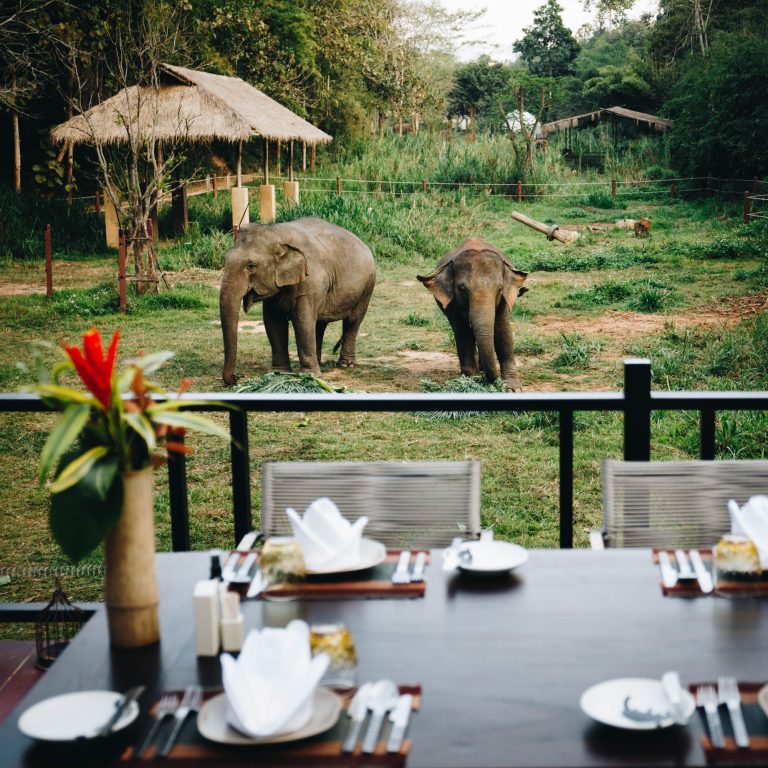 Anantara Golden Triangle Elephant Camp & Resort – Chiang Rai, Thailand – Jungle Bubble Dining