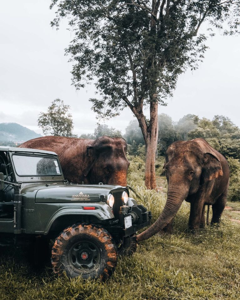 Anantara Golden Triangle Elephant Camp & Resort - Chiang Rai, Thailand - Jeep