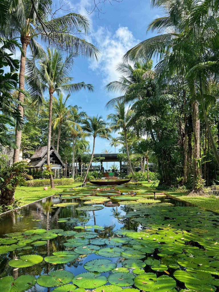Anantara Bophut Koh Samui Resort - Thailand - Lotus Pond