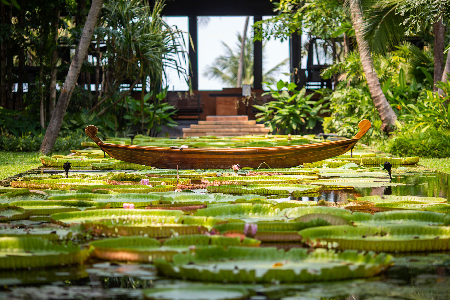 Anantara Bophut Koh Samui Resort – Thailand – Lotus Pond