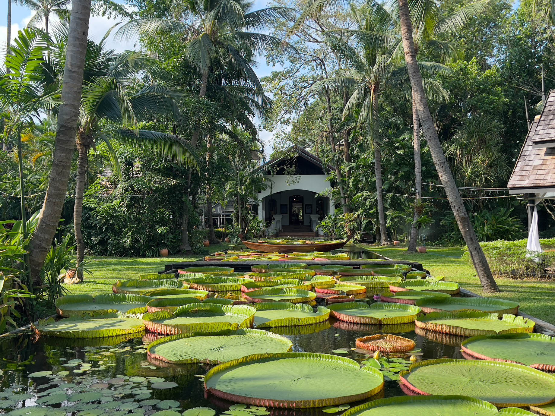Anantara Bophut Koh Samui Resort – Thailand – Lotus Pond