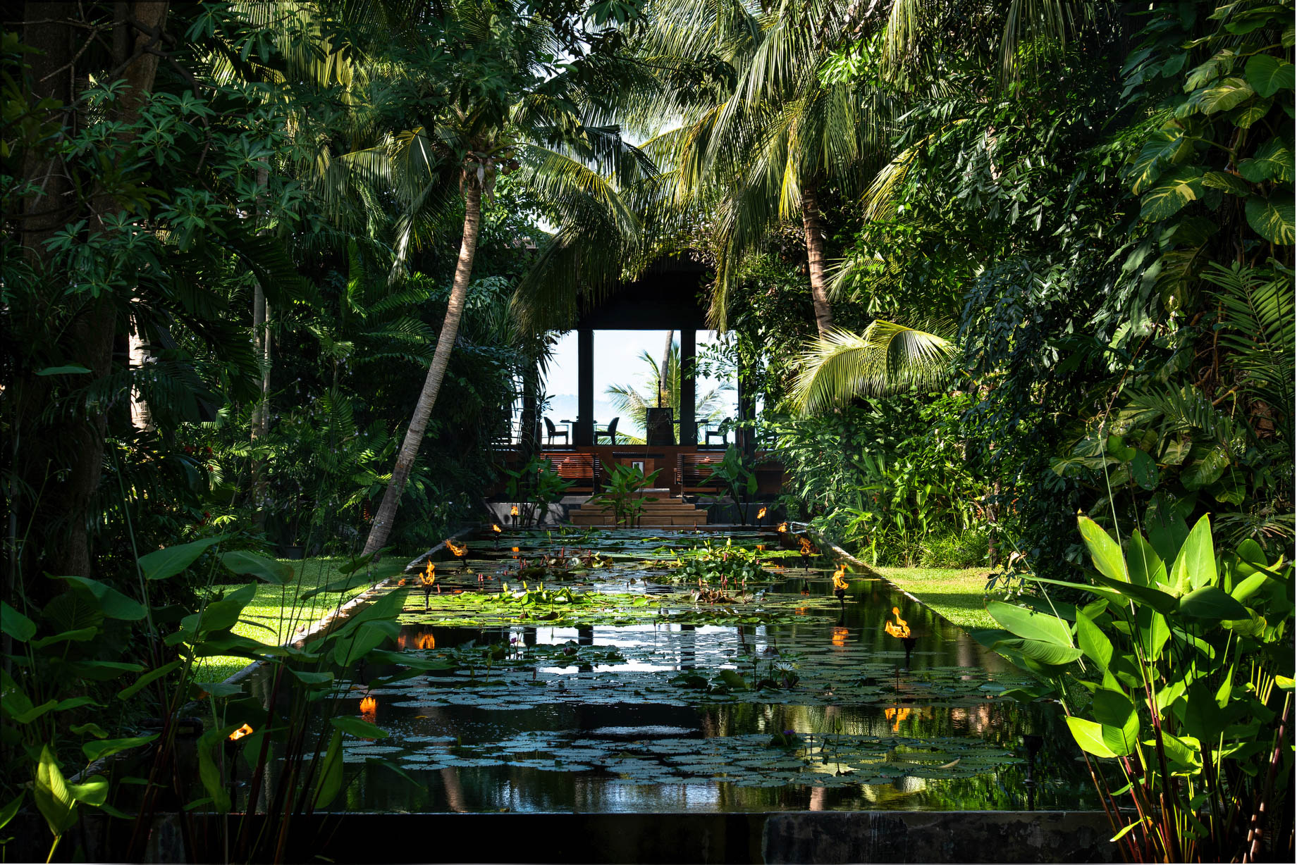 Anantara Bophut Koh Samui Resort - Thailand - Lotus Pond