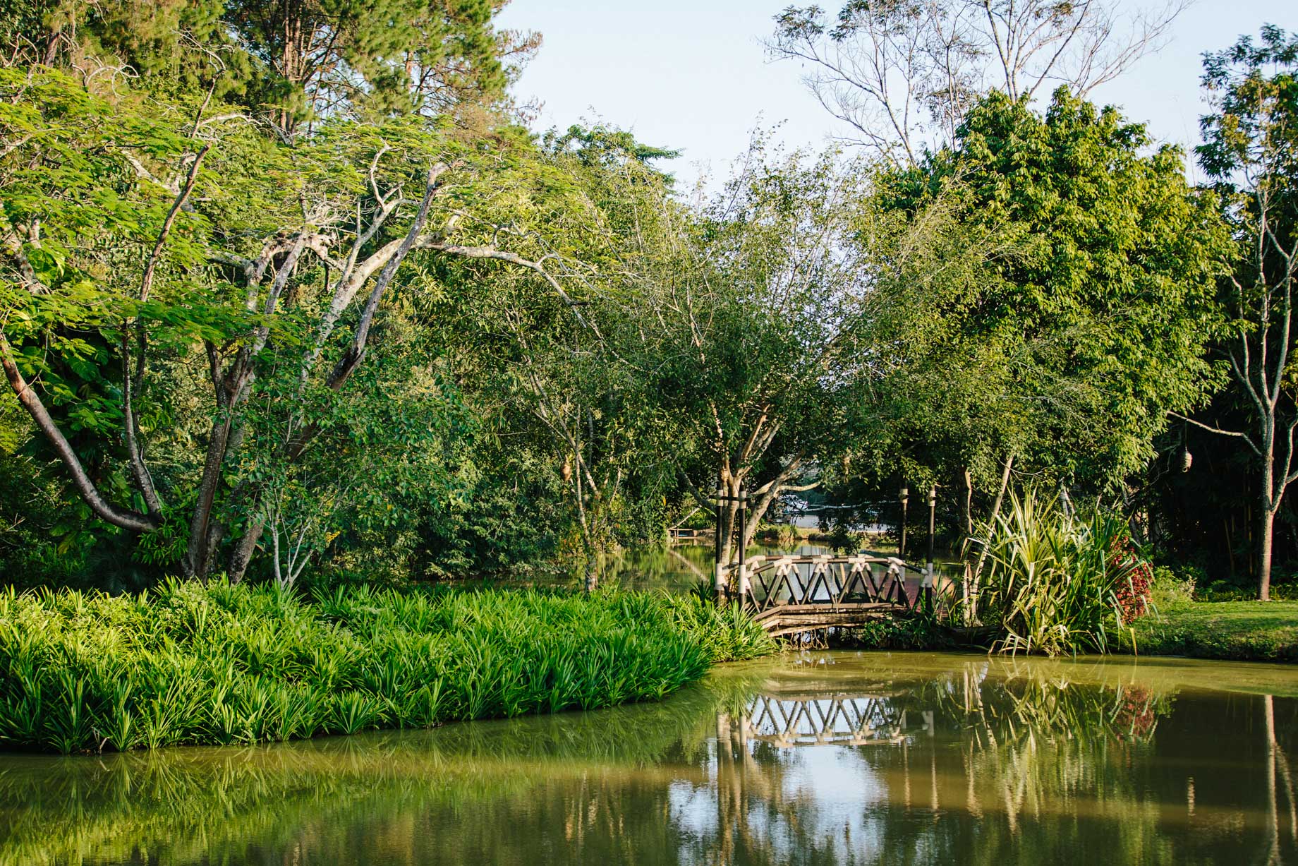 Anantara Golden Triangle Elephant Camp & Resort – Chiang Rai, Thailand – Pond