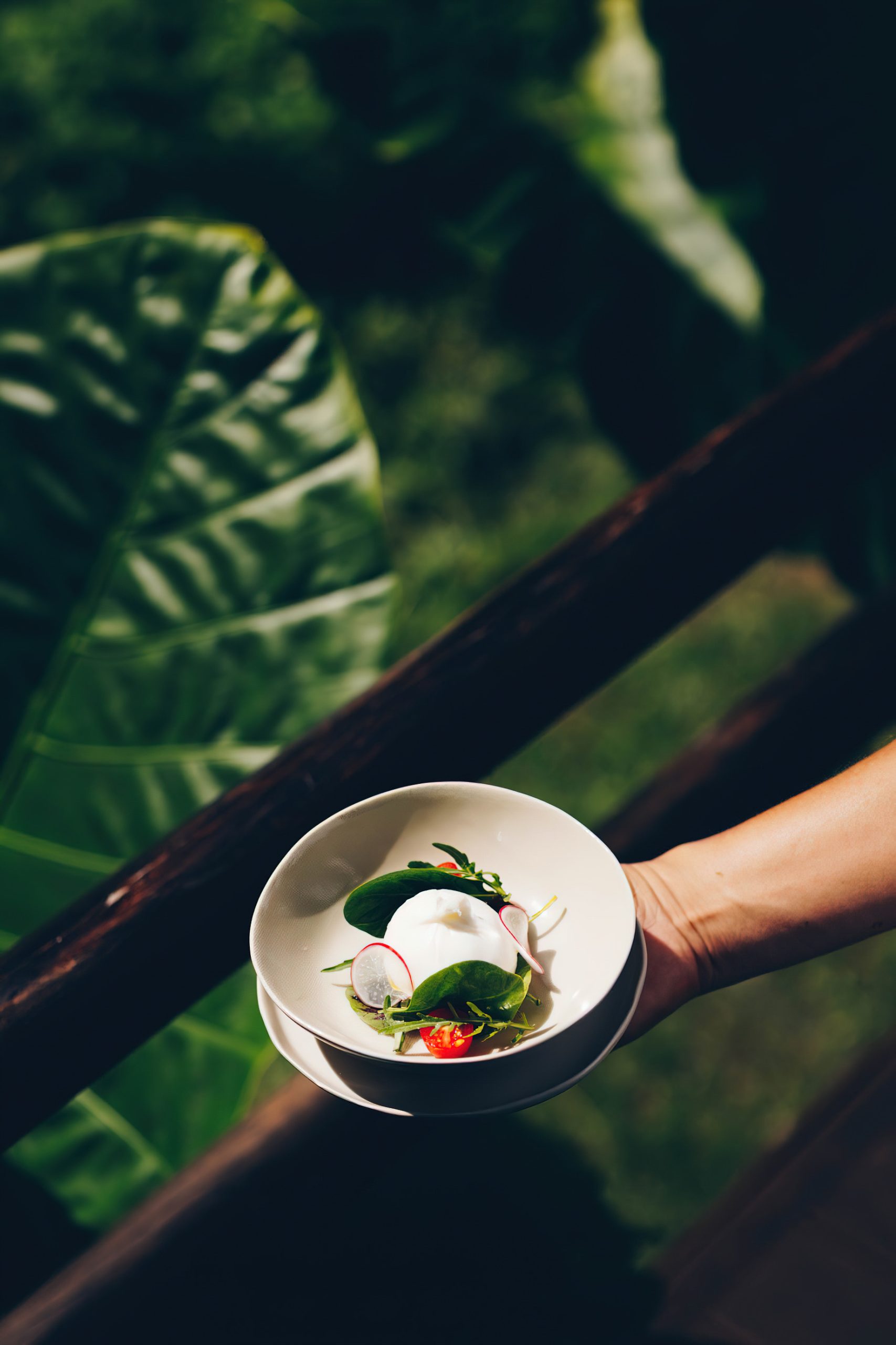 Anantara Golden Triangle Elephant Camp & Resort - Chiang Rai, Thailand - Gourmet Food