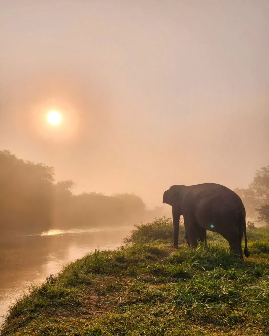 Anantara Golden Triangle Elephant Camp & Resort - Chiang Rai, Thailand - Sunset View