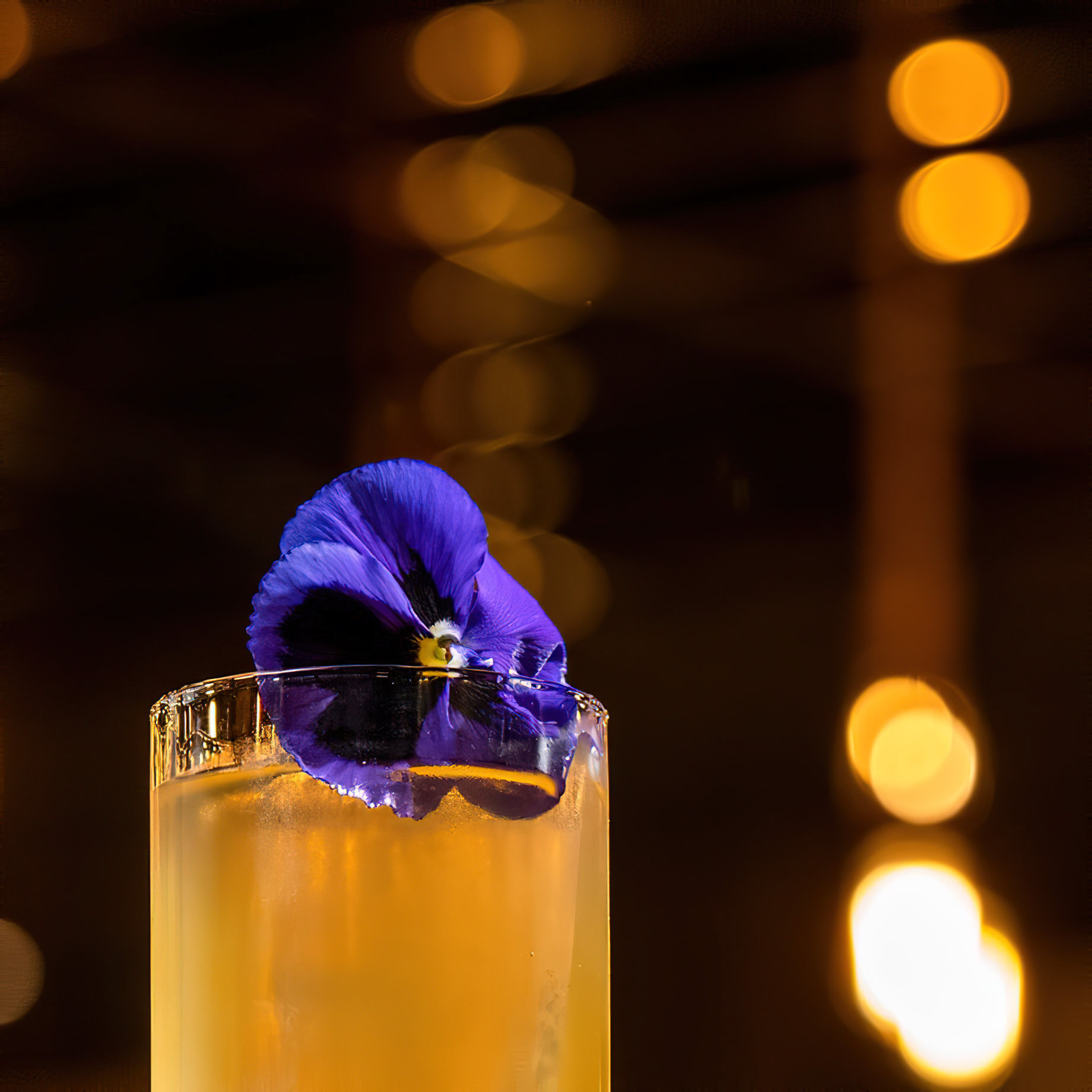 Anantara Grand Hotel Krasnapolsky Amsterdam - Netherlands - Cocktail