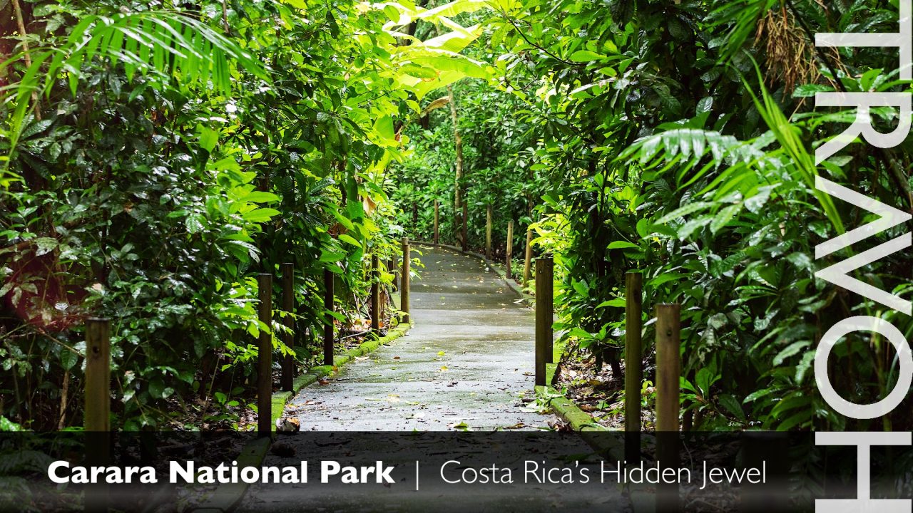 Carara National Park: Costa Rica’s Hidden Jewel