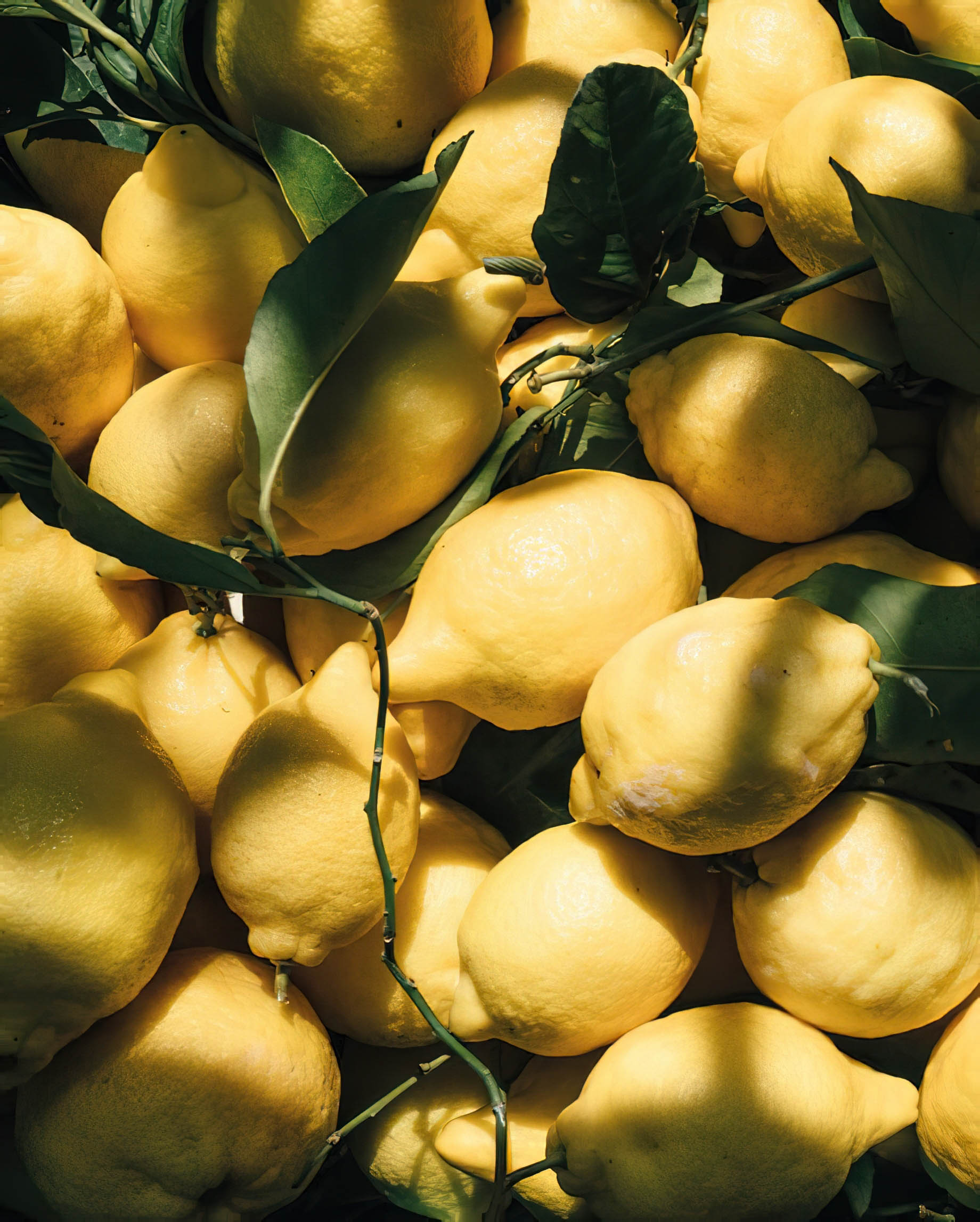 Caruso, A Belmond Hotel, Amalfi Coast – Ravello, Italy – Lemons