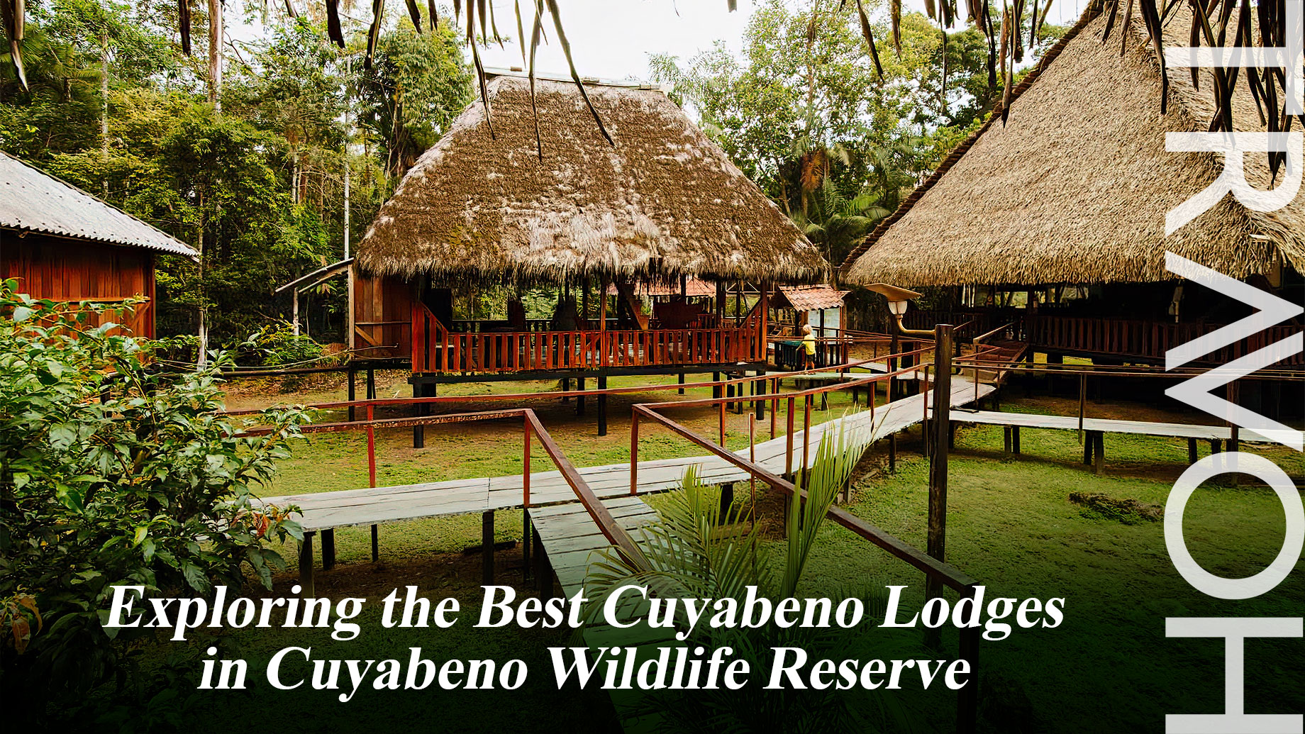 Exploring the Best Cuyabeno Lodges in Cuyabeno Wildlife Reserve