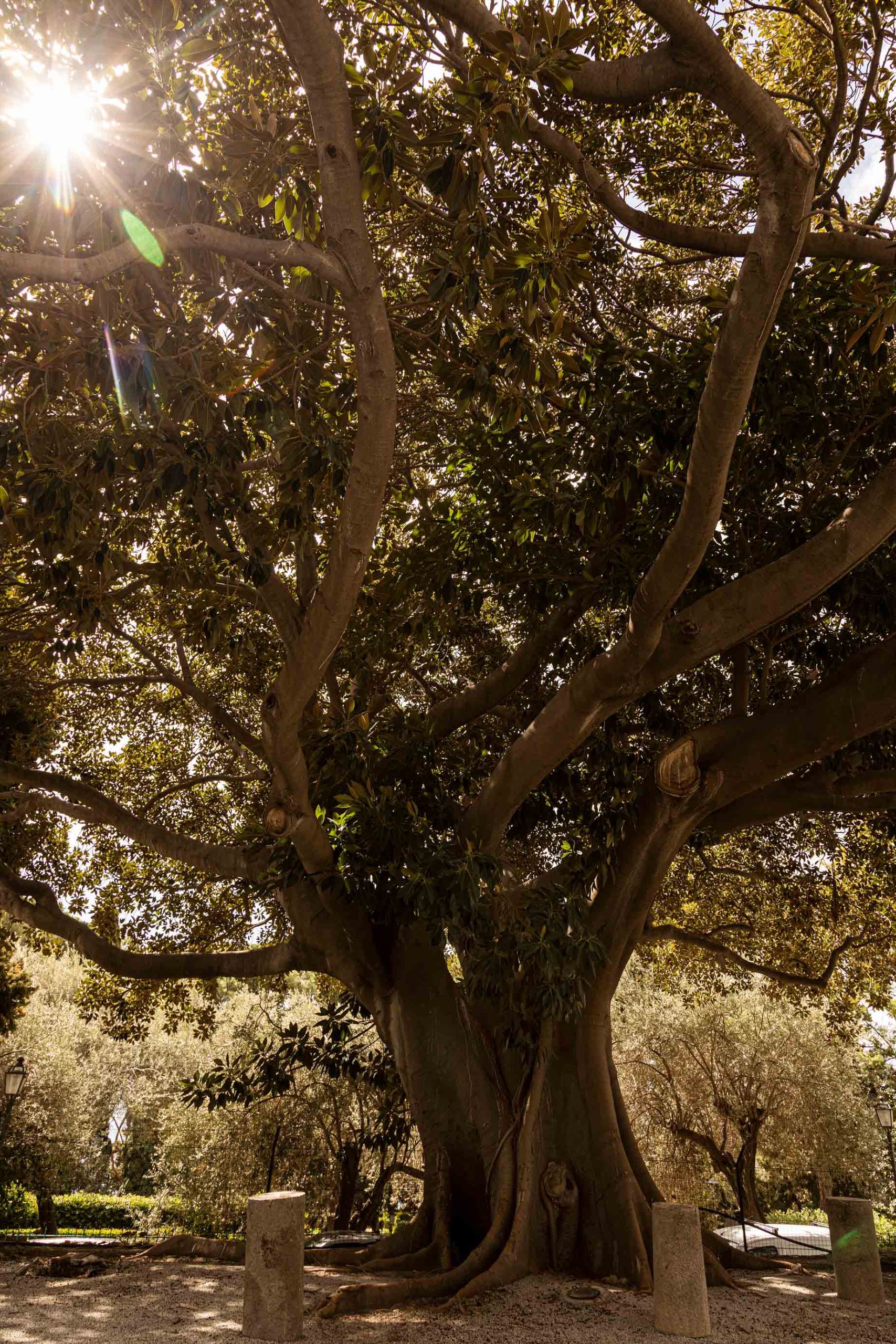 Grand Hotel Timeo, A Belmond Hotel - Taormina, Italy