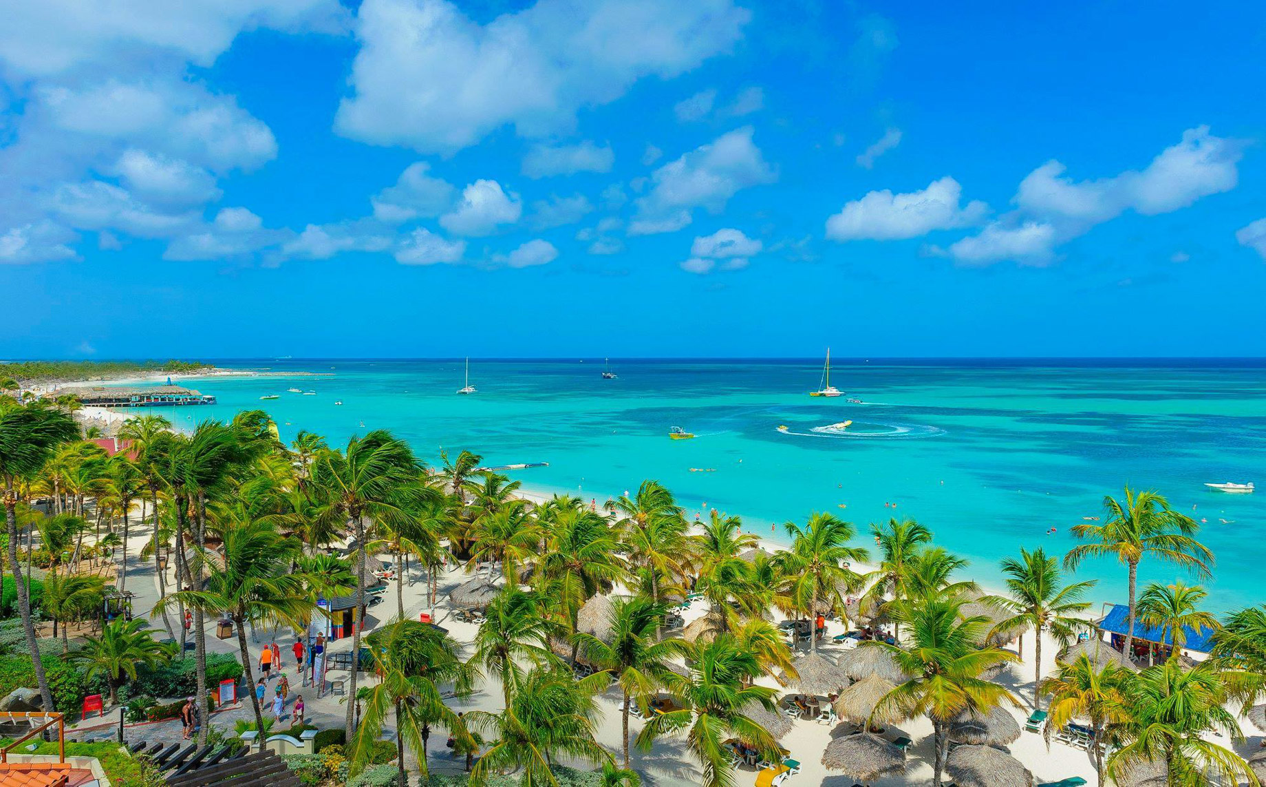 Barceló Aruba Palm Beach Resort - Noord, Aruba - Beach Resort Aerial View