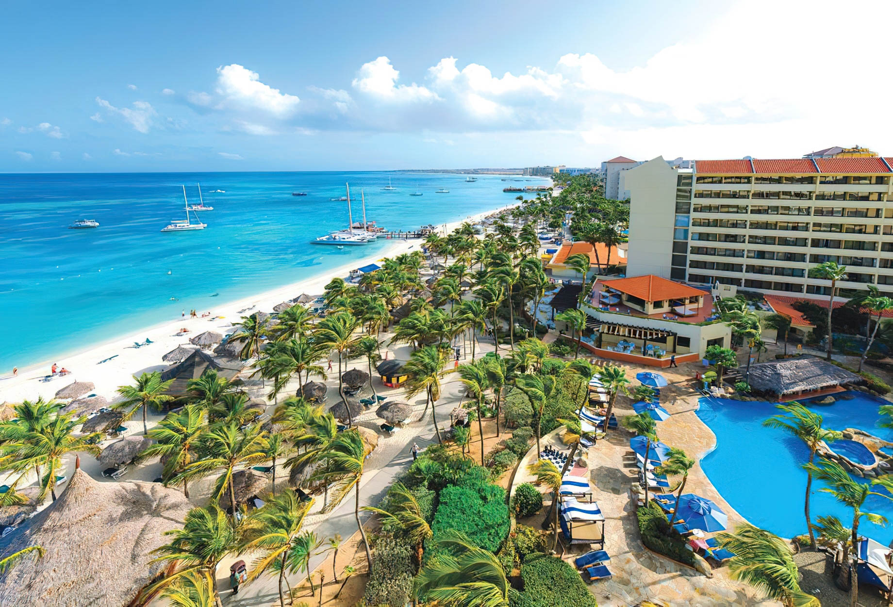 Barceló Aruba Palm Beach Resort - Noord, Aruba - Beach Resort Aerial View