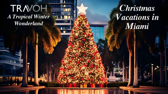 Christmas Vacations in Miami: A Tropical Winter Wonderland