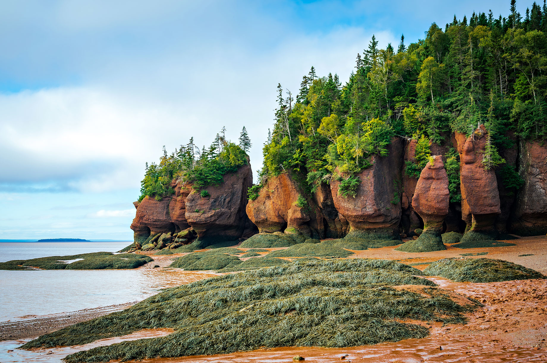 Maritime Magic on the East Coast - Hopewell Rocks Provincial Park, Bay of Fundy, New Brunswick, Canada