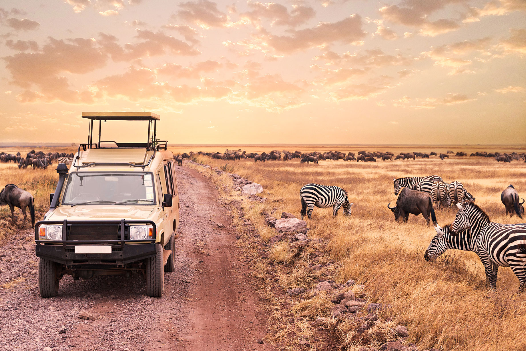 Safari Adventure - Serengeti National Park, Tanzania