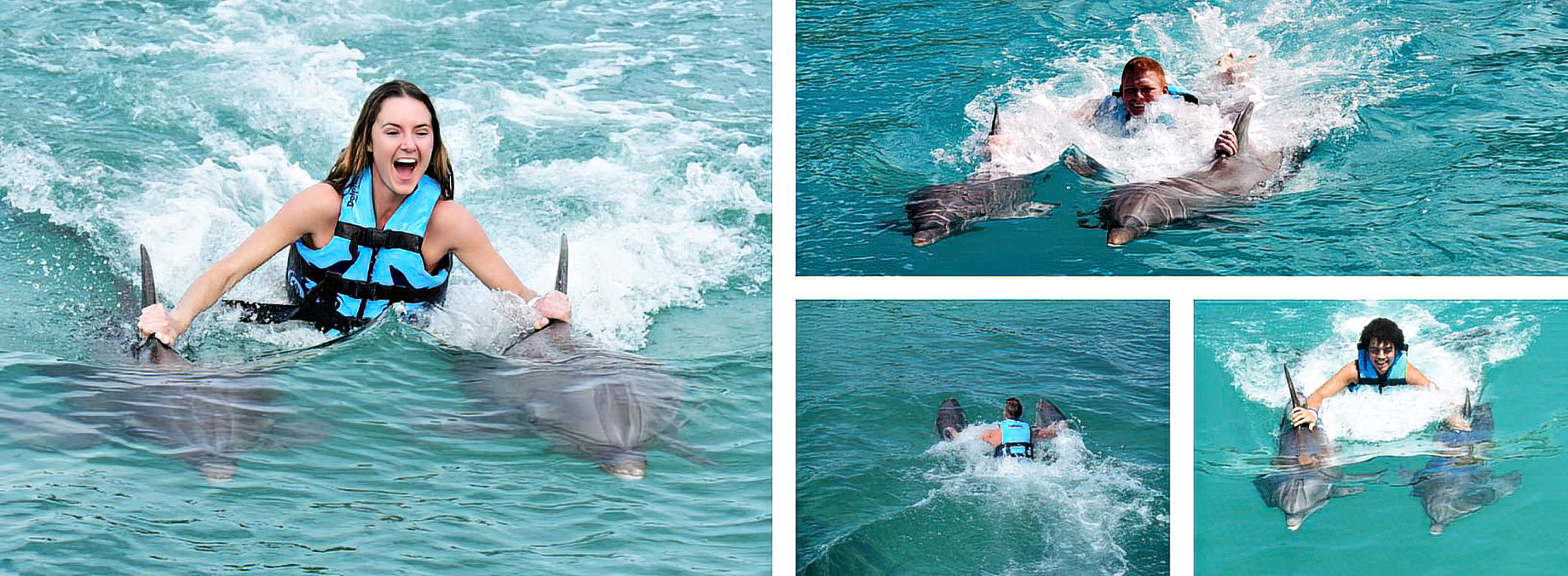 Dolphin Royal Swim at Ocean Adventures Punta Cana, Dominican Republic